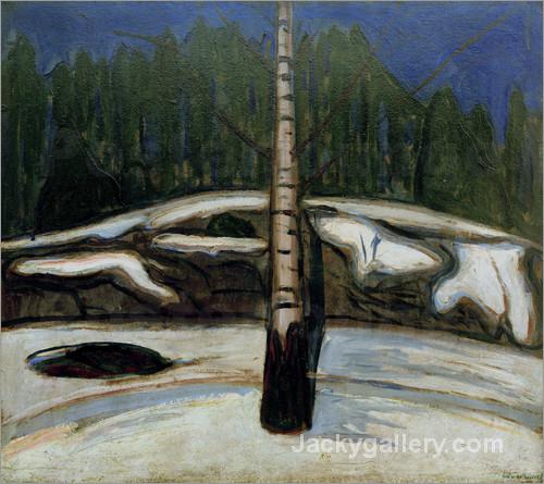 Birch in snow by Edvard Munch paintings reproduction